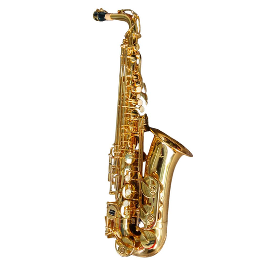 Saxofón Alto Estudiante HAS100 Hoffer