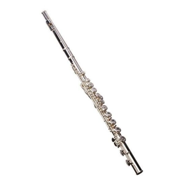 Flauta Traversa 16 Agujeros HFL100 Hoffer