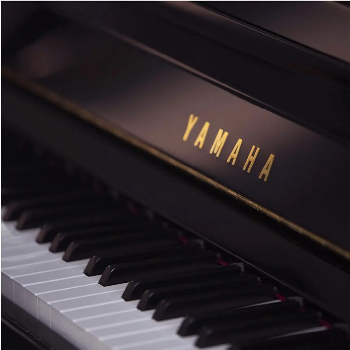 Piano Acústico Vertical JX113T + Sillín acabado Polished Ebony Yamaha